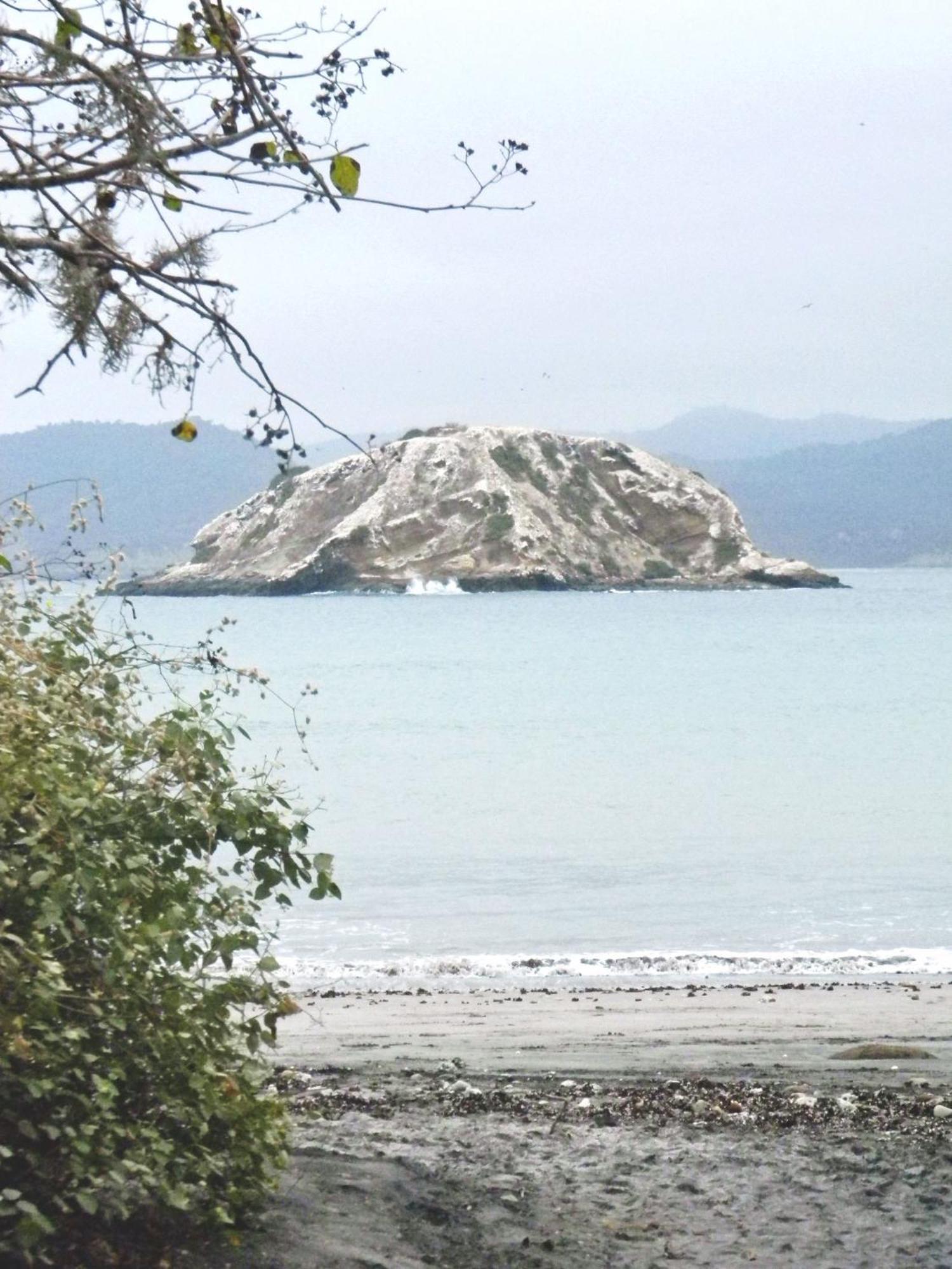 Hospedaje Algarrobo 马查利亚 外观 照片