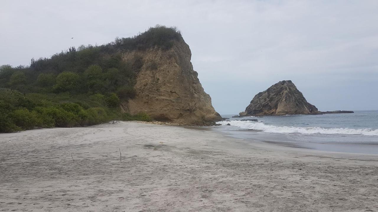 Hospedaje Algarrobo 马查利亚 外观 照片