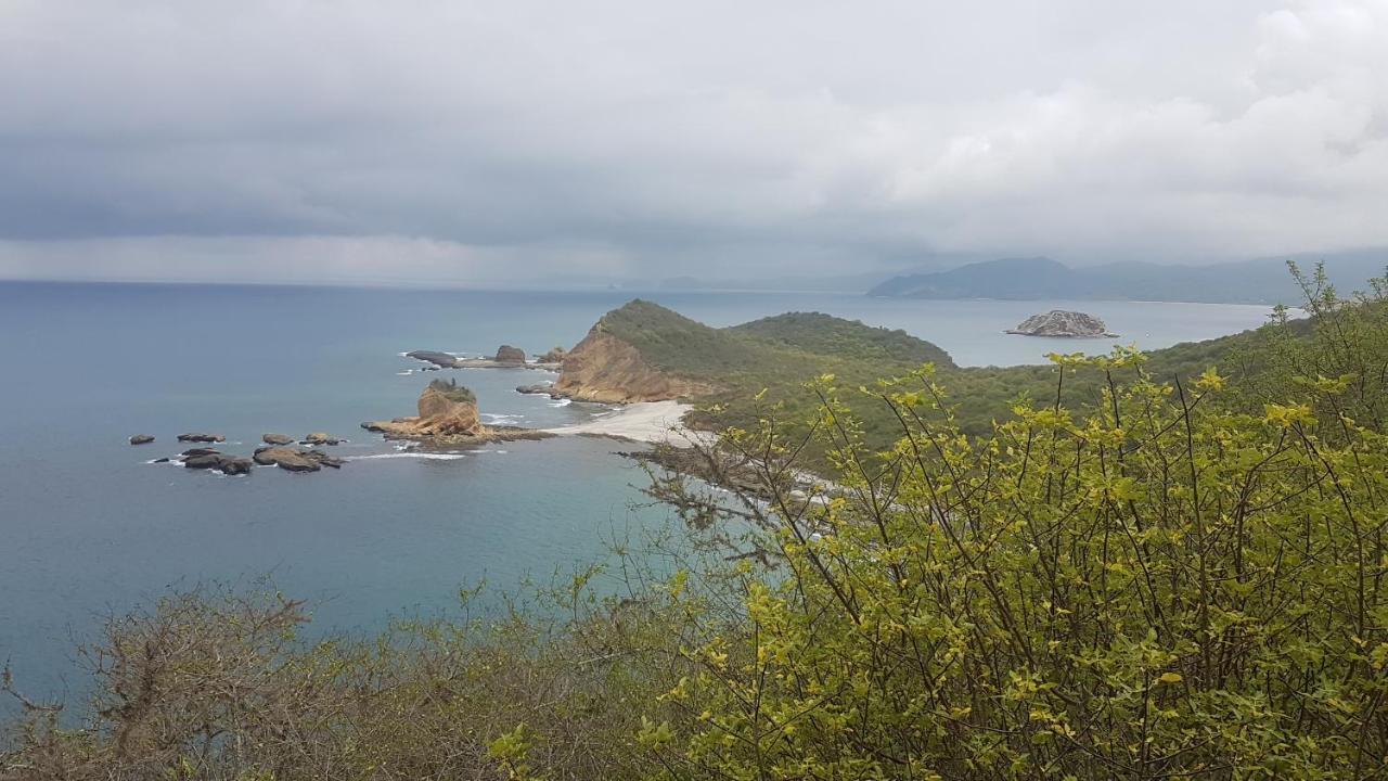 Hospedaje Algarrobo 马查利亚 外观 照片