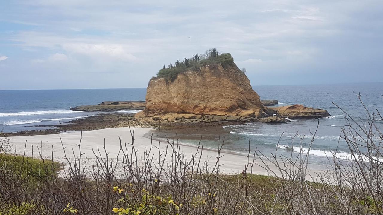 Hospedaje Algarrobo 马查利亚 外观 照片