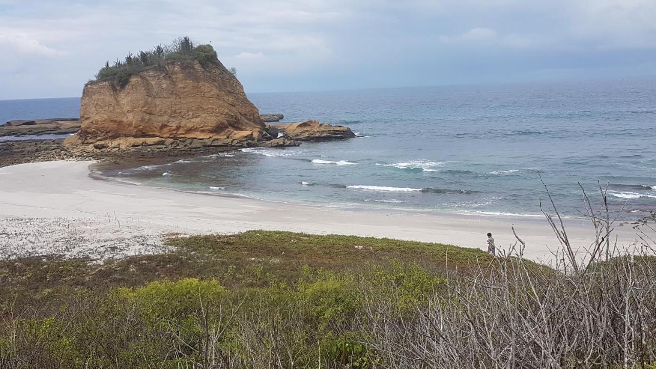 Hospedaje Algarrobo 马查利亚 外观 照片