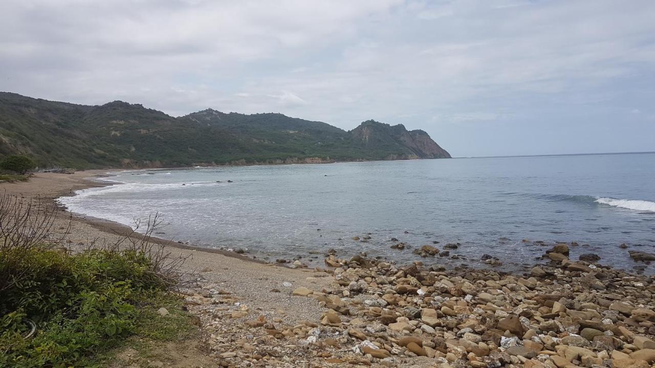 Hospedaje Algarrobo 马查利亚 外观 照片