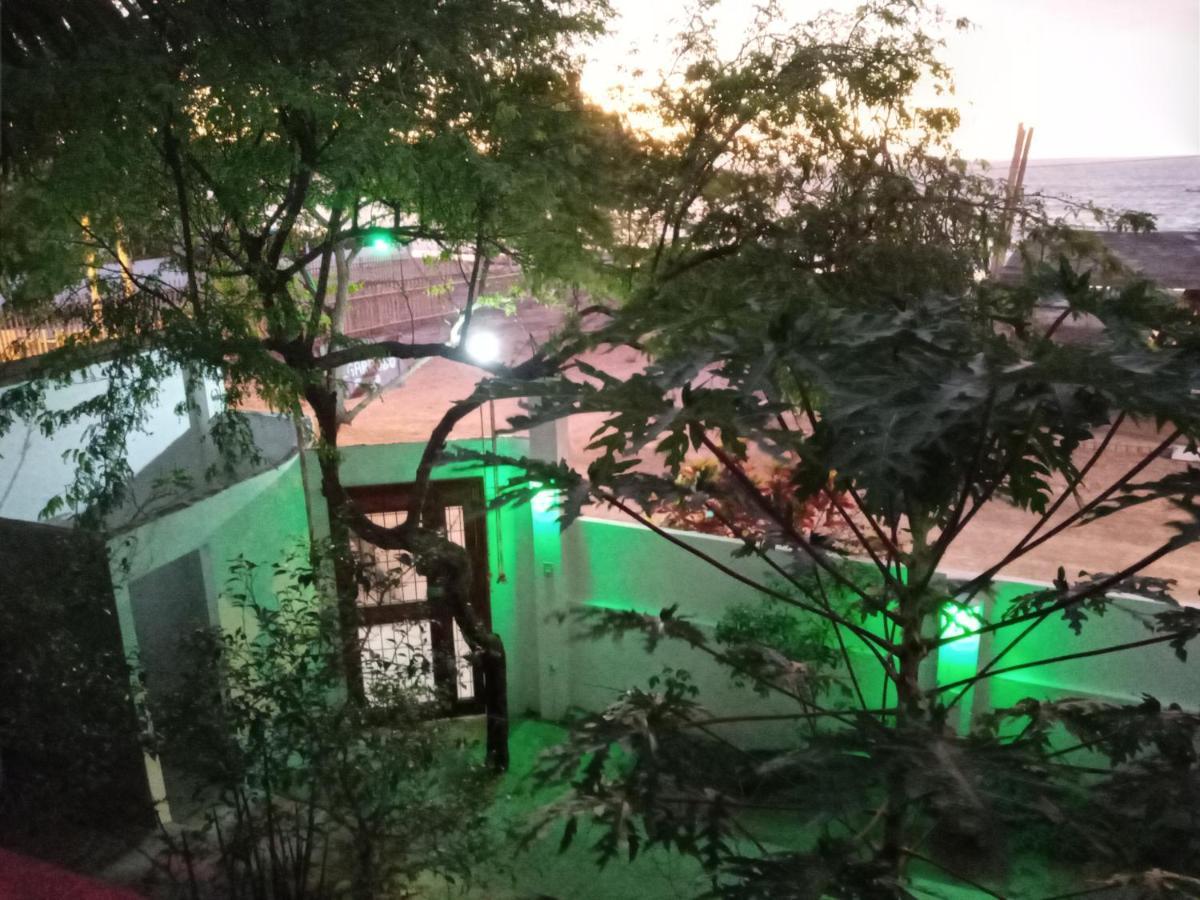 Hospedaje Algarrobo 马查利亚 外观 照片