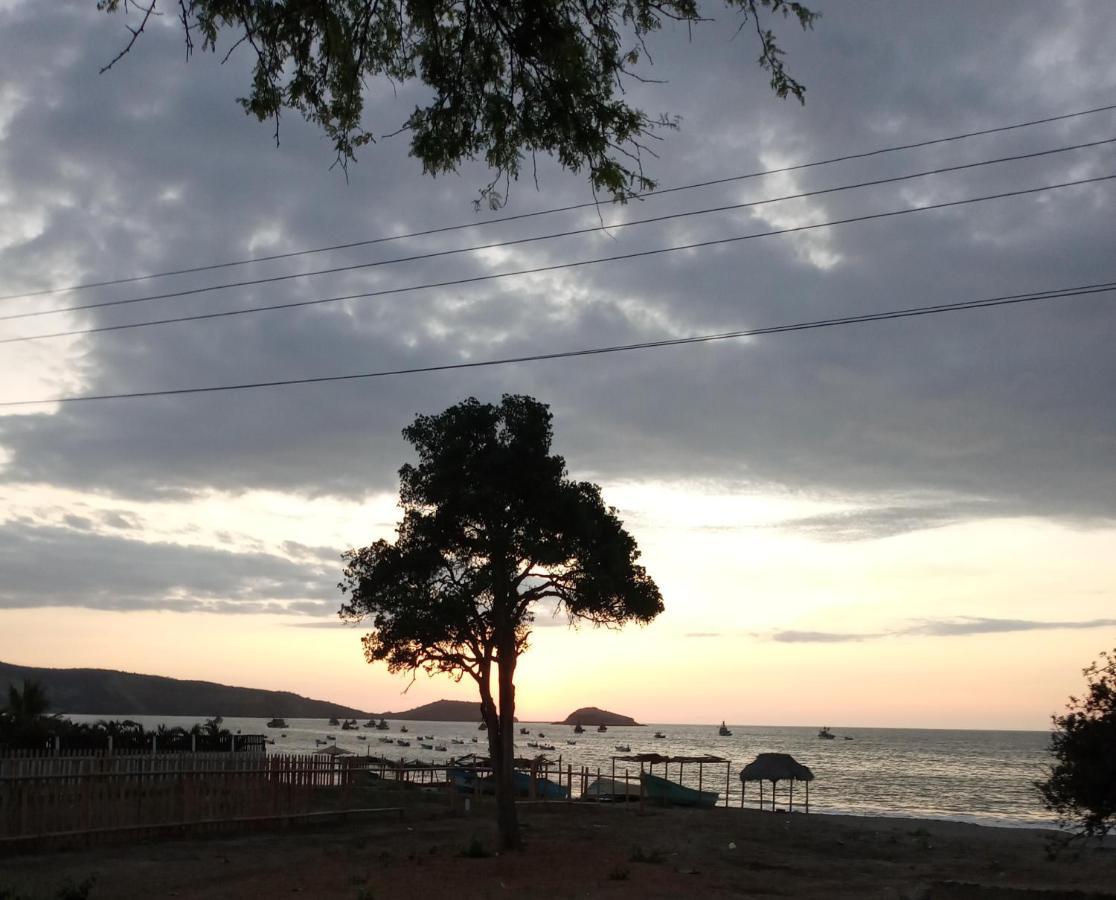 Hospedaje Algarrobo 马查利亚 外观 照片